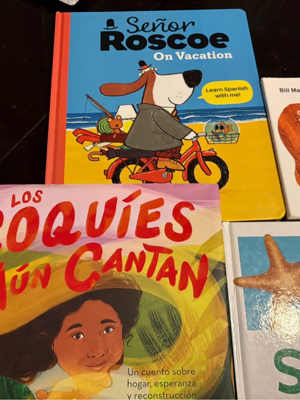 ESL Children’s Book lot, Spanish/English including Eric Carle, Various Others! - Picture 7 of 8